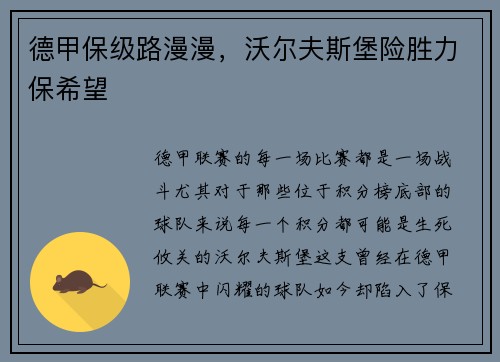 德甲保级路漫漫，沃尔夫斯堡险胜力保希望