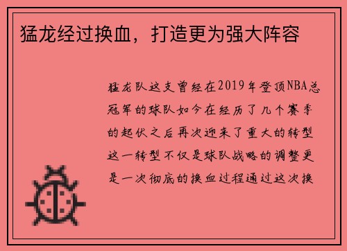 猛龙经过换血，打造更为强大阵容
